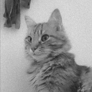 Meet your Posher, Nicklaus